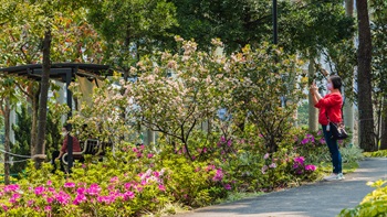 Colourful flowering border pathways are an attractive feature for visitors.